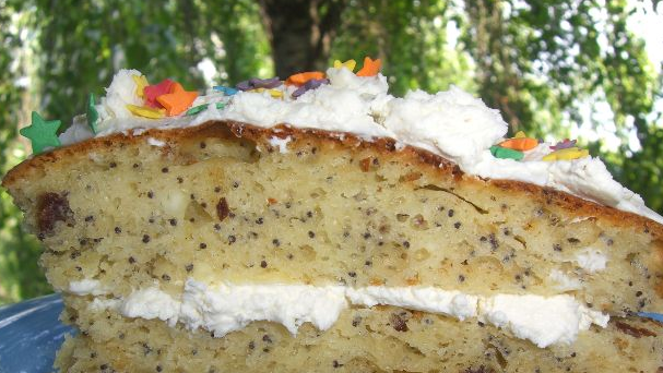Cottage cheese biscuit with poppy seeds and raisins