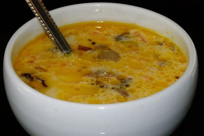 Chicken soup with cheese and mushrooms