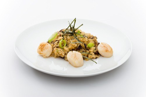Scallops in a creamy sauce with mushrooms and rice