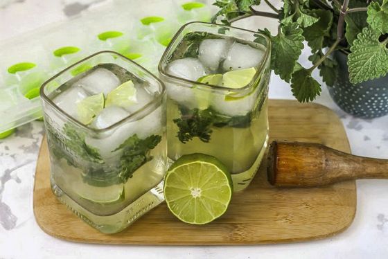 Mojito Fresh cocktail