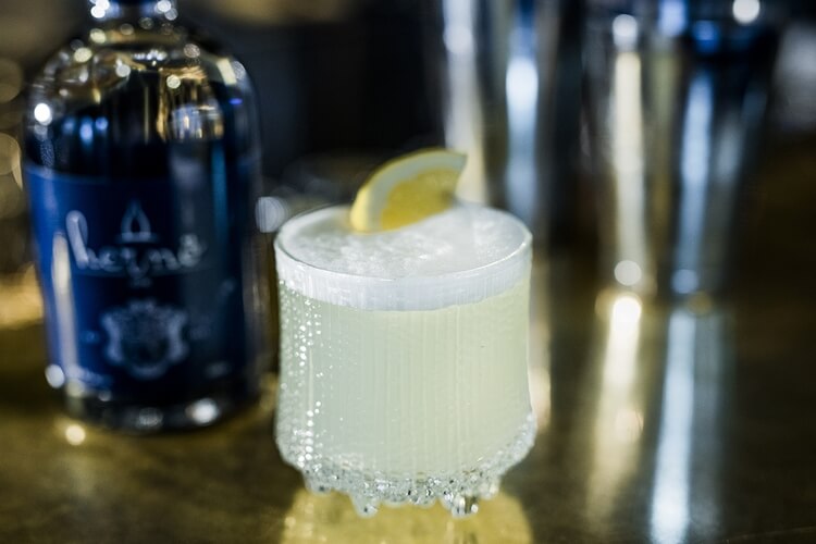 Gin Fizz Cocktail