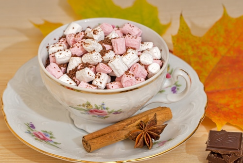 Hot chocolate with marshmallows
