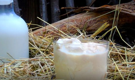 Homemade fermented baked milk