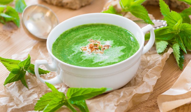 Nettle puree soup
